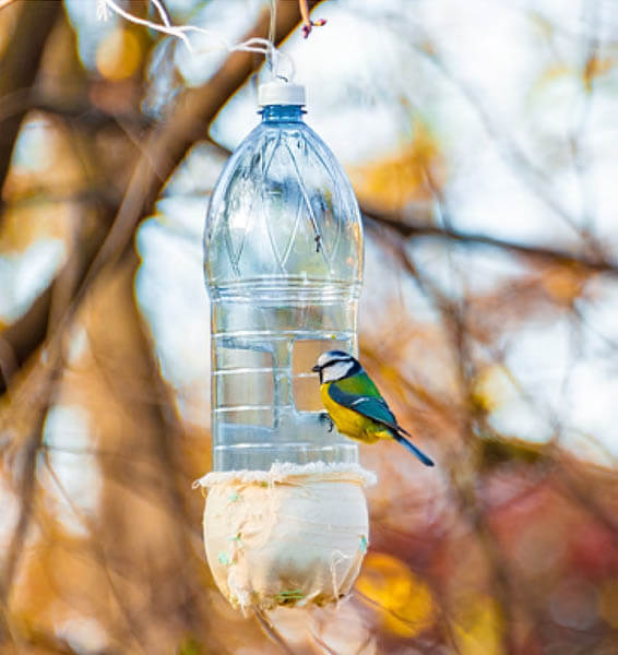 The Engineering of the Drinking Bird 