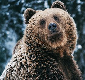 Celebrating the end of a great year!