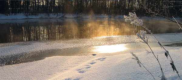 Get Ready for Exciting Winter-Friendly Conservation Adventures!