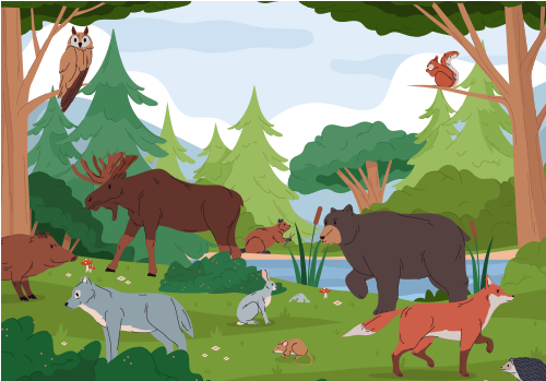 How can we support biodiversity?