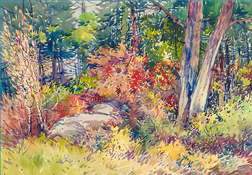 STEP OUTSIDE: FRESH AIR, FRESH MINDS