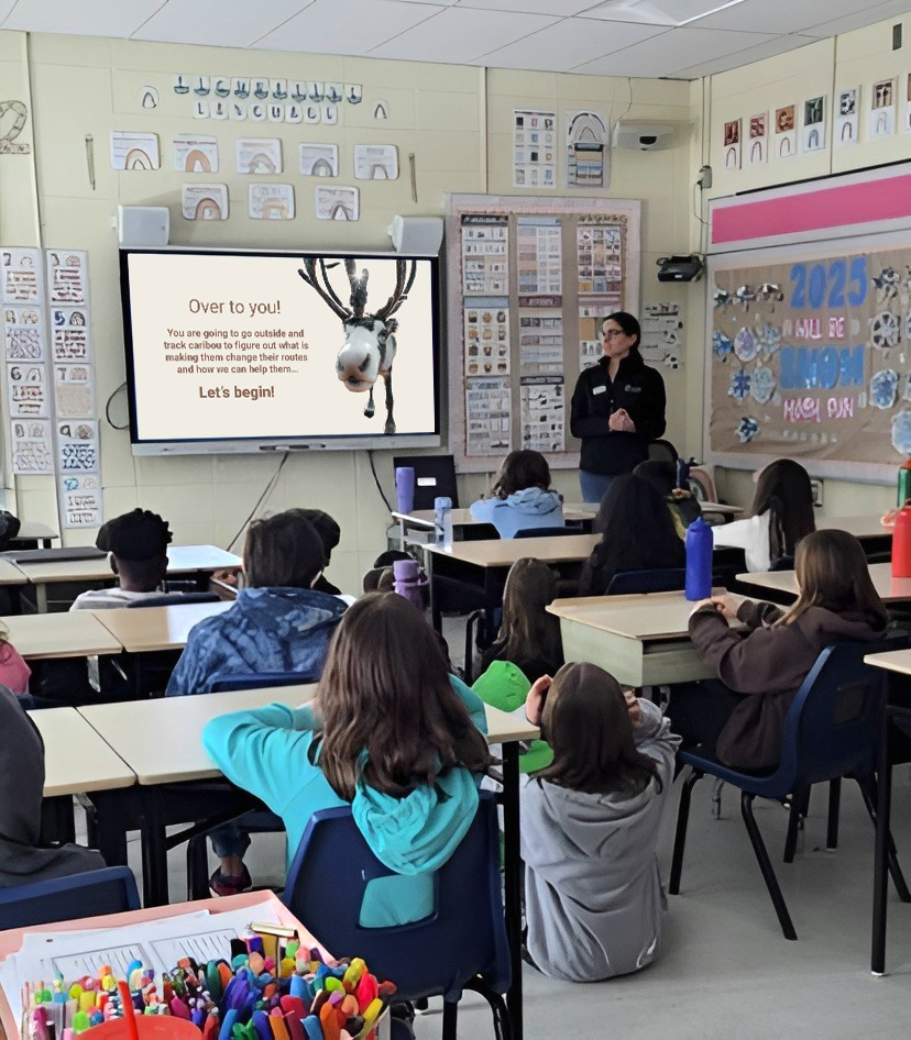 Students learning about environment