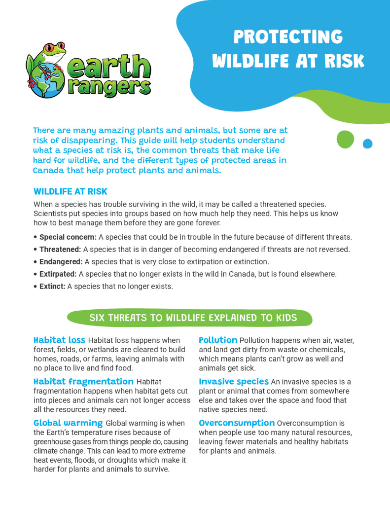 Protecting Wildlife At Risk