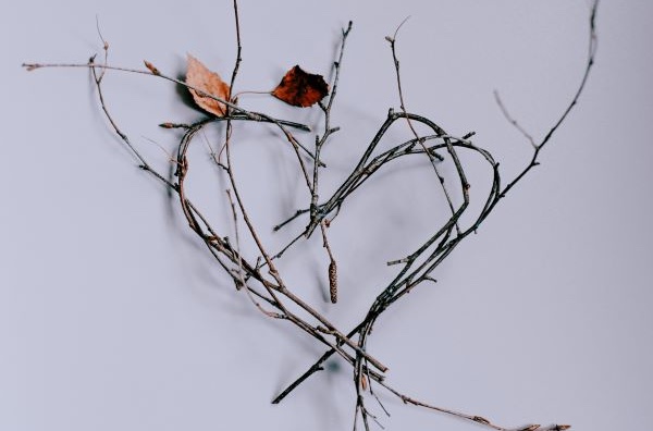 Natural Temporary Art