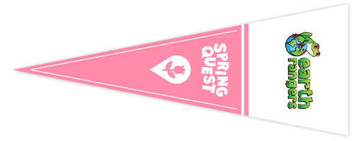pennant