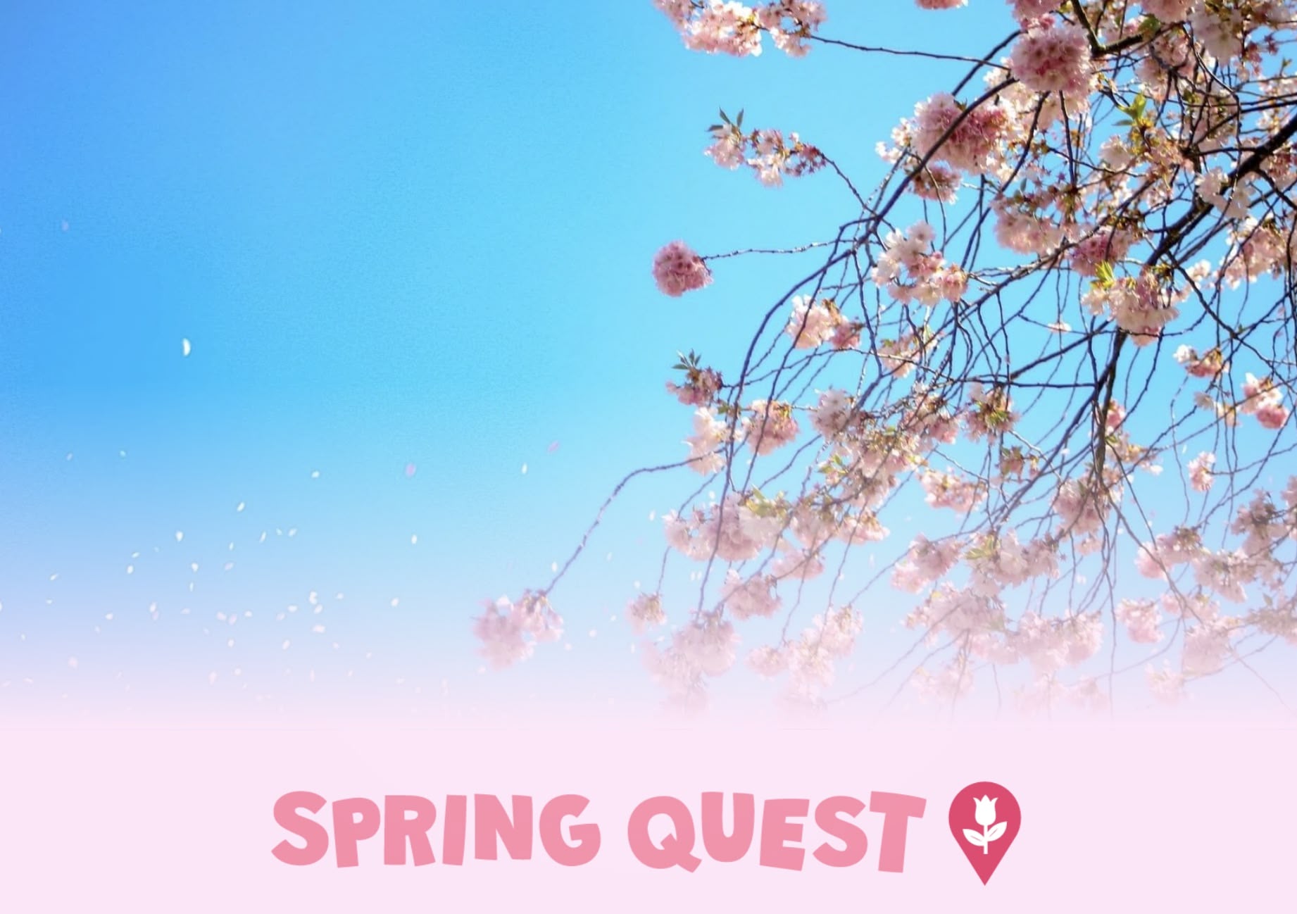 Spring Quest