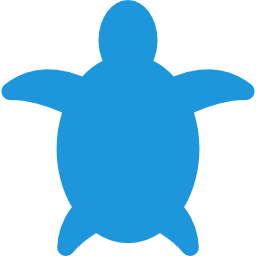 Sea turtle